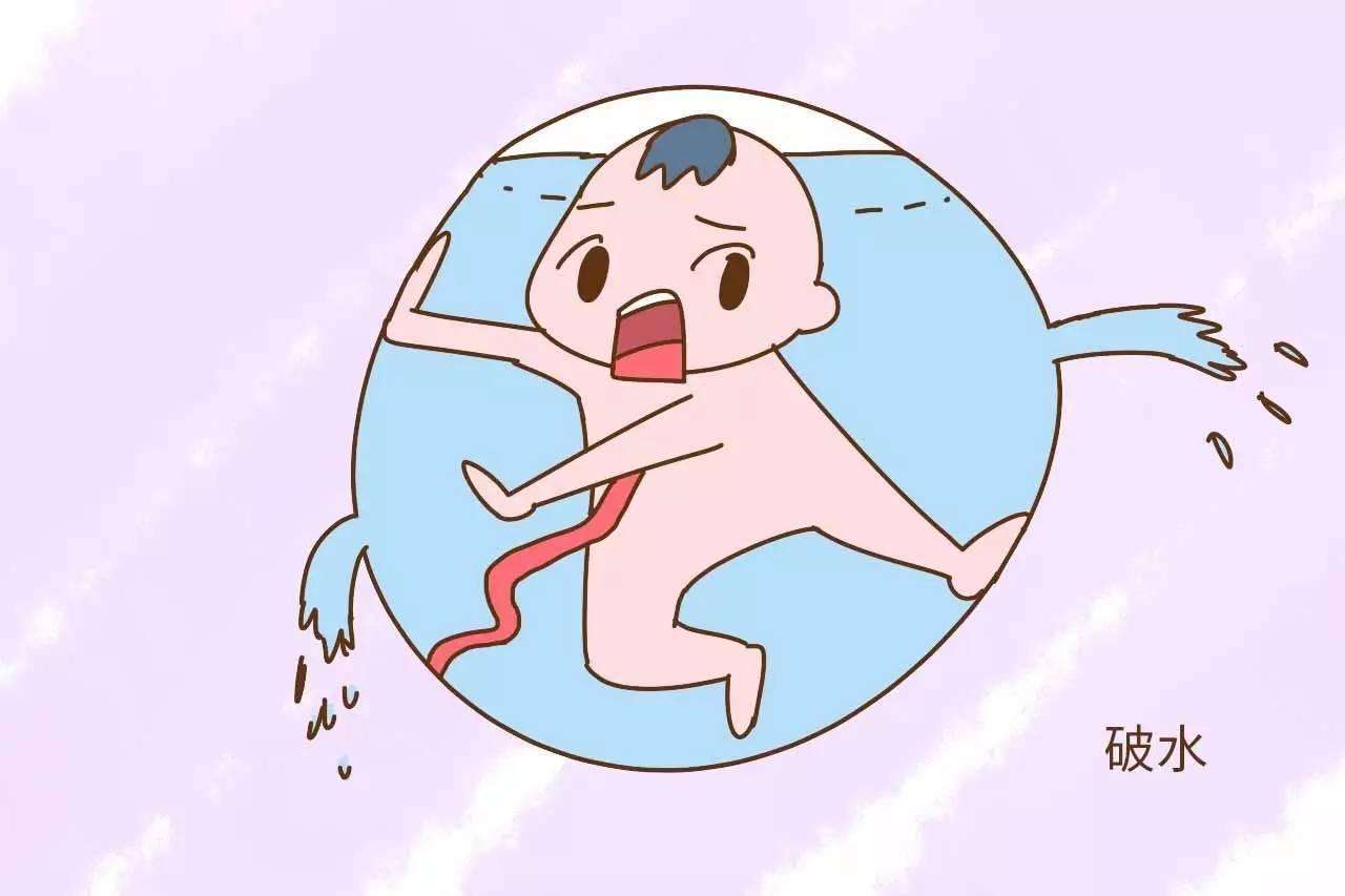 怀孕忽然破水的几率,怀孕时破水