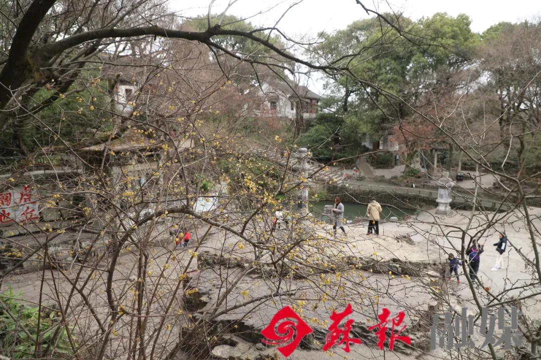 苏州旅游必打卡的10个景点,苏州适合周末放松的景区