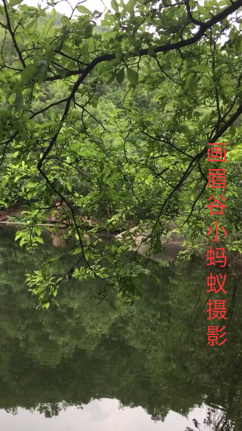 鲁山画眉谷郏县旅游景点推荐,平顶山鲁山风景区旅游攻略