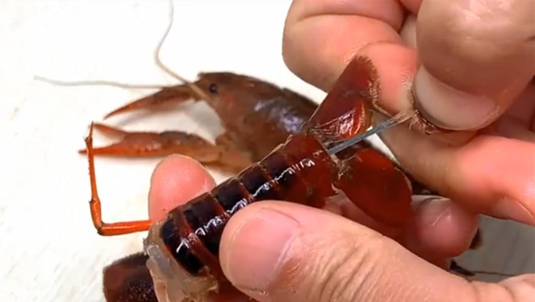 清水洗小龙虾,清水小龙虾清洗必须去腮吗