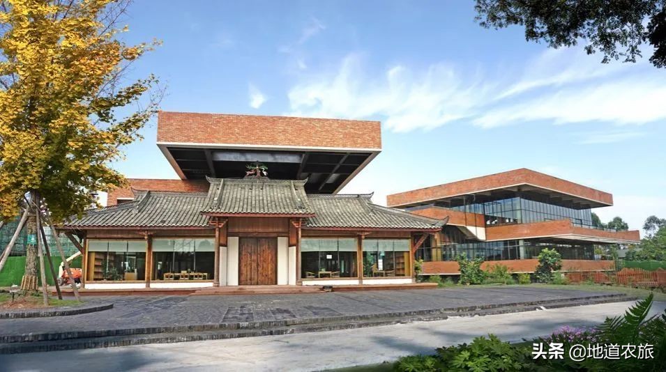 田园综合体和特色小镇有区别吗,成都和盛田园综合体