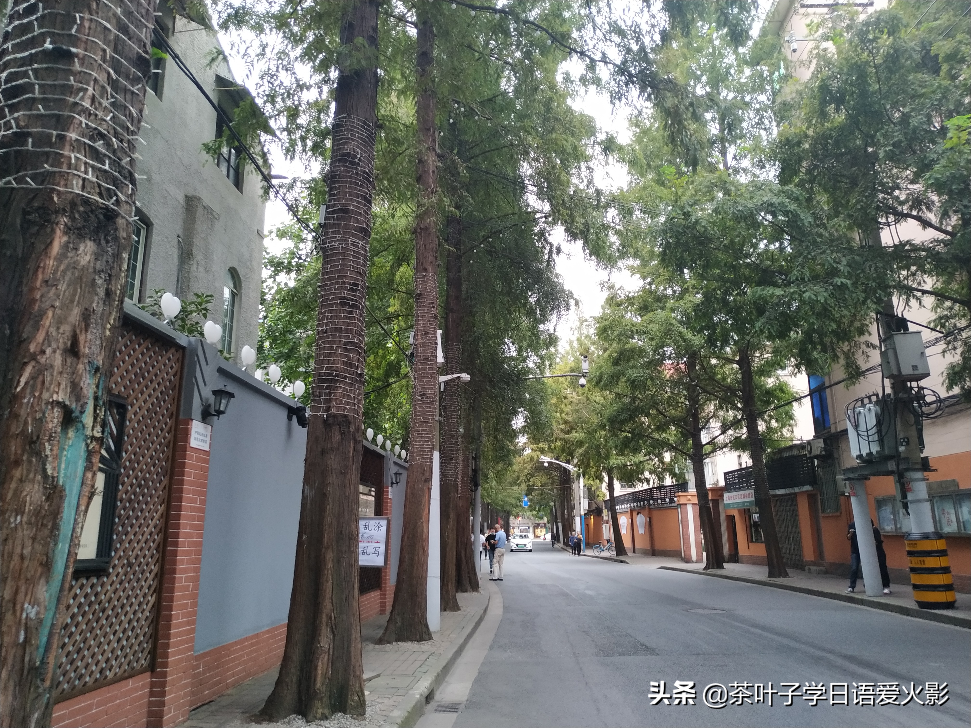 上海甜爱路，打卡不要错过哦，还有鲁迅公园