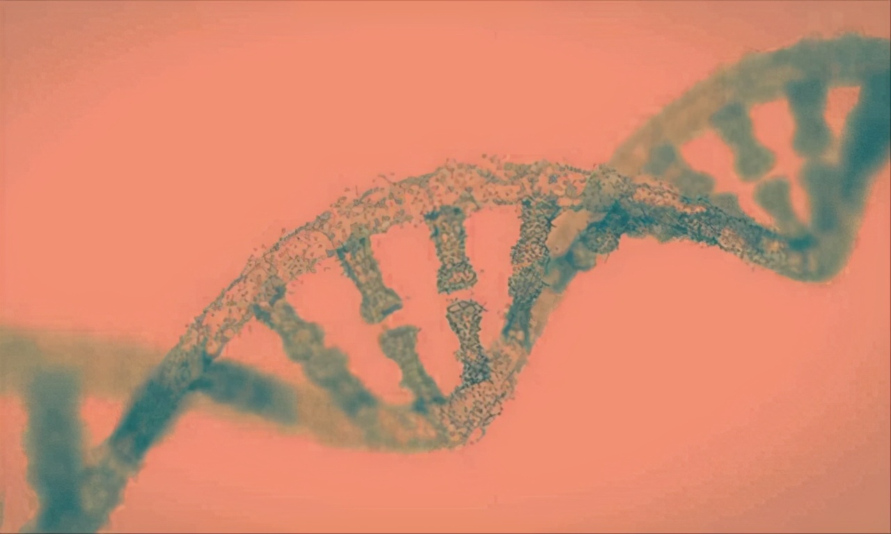 2亿资金到账，基因界黑马获得腾讯支持，两年半攒下近30项专利