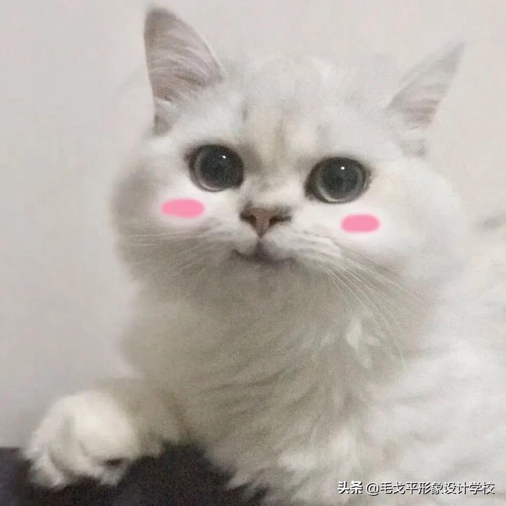 肿眼泡怎样画眼妆新手超详细,肿眼泡画眼妆详细教程