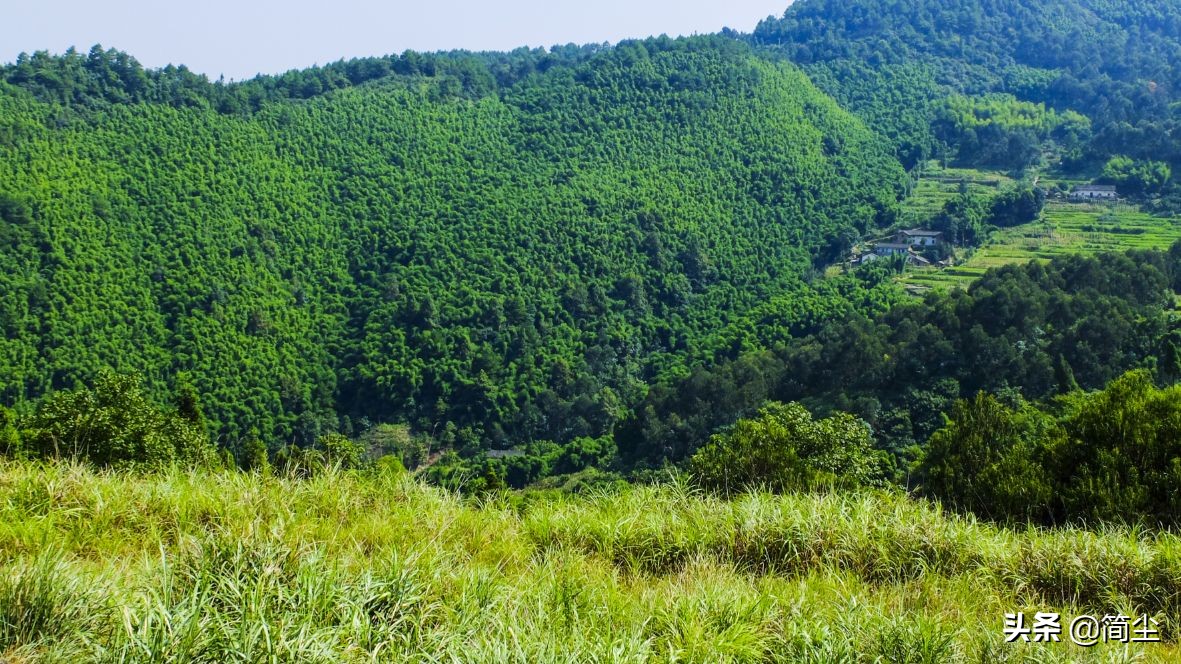 重庆北碚三圣镇老街,重庆三圣老街全景图