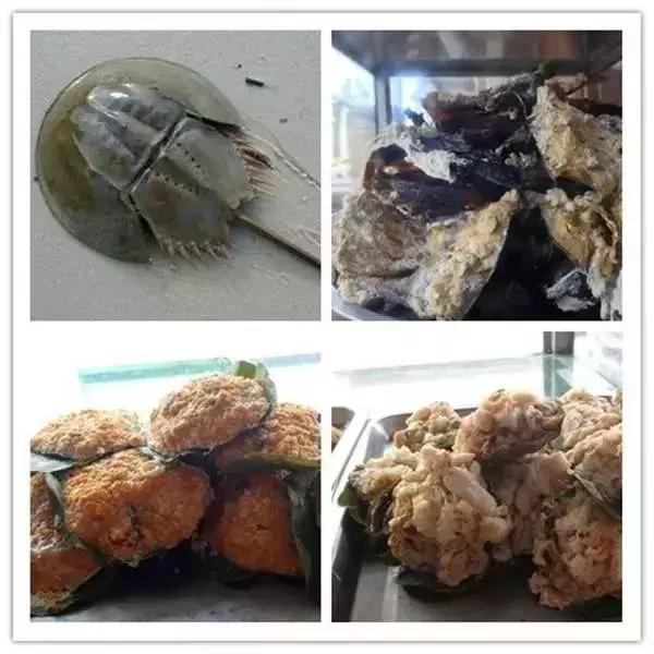 海南铺前海文大桥能过了吗,海口海文大桥最新通告