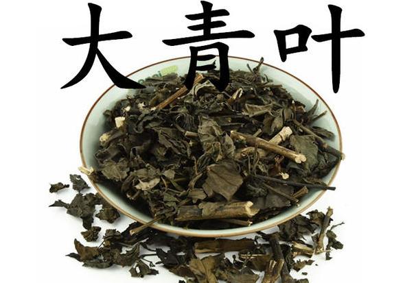 养鸡给鸡吃什么预防药,养鸡喂什么药可以预防病毒