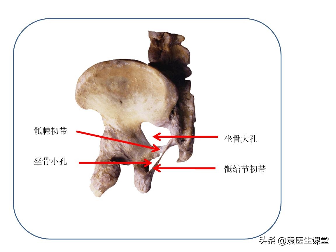 什么原因引起小腿麻木疼痛脚上无力？医生：这根神经有问题