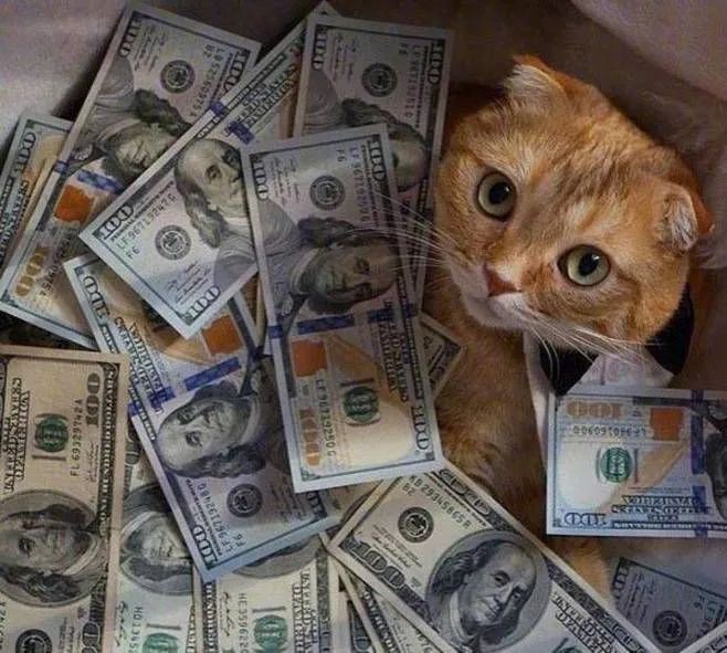 老婆饼里没有老婆对吗,你知道老婆饼里为啥没有老婆吗