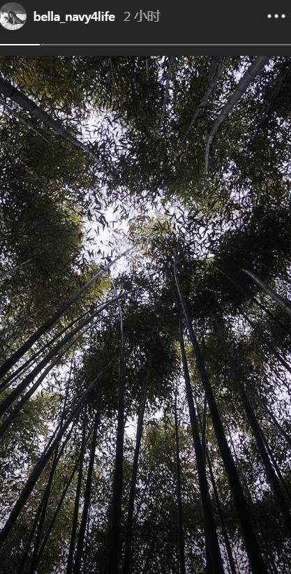 高以翔bella同框,高以翔与bella最新消息