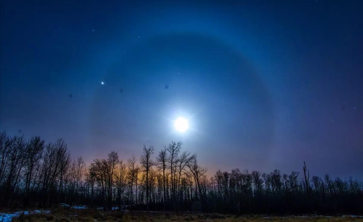 大自然的规律和启示,大自然的预知能力