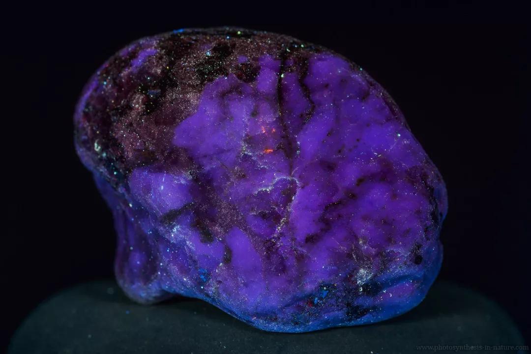 紫外线外星人真的存在吗,外星生命紫外线