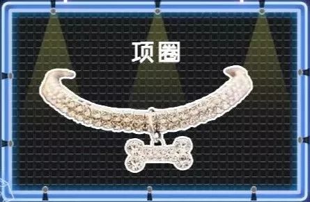 看到它3万块的项圈后，月薪3000的我瑟瑟发抖……