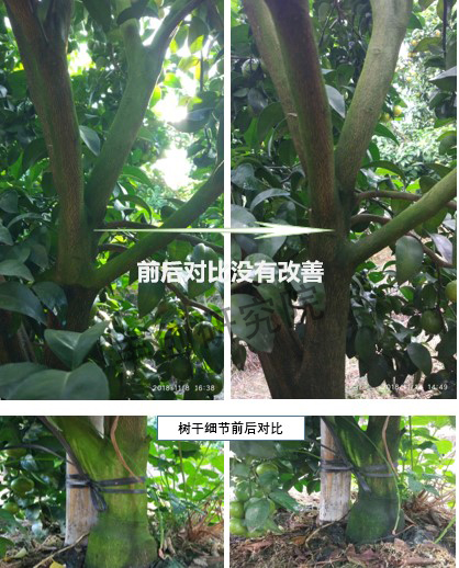 青苔的最佳治理方法是什么,青苔补救