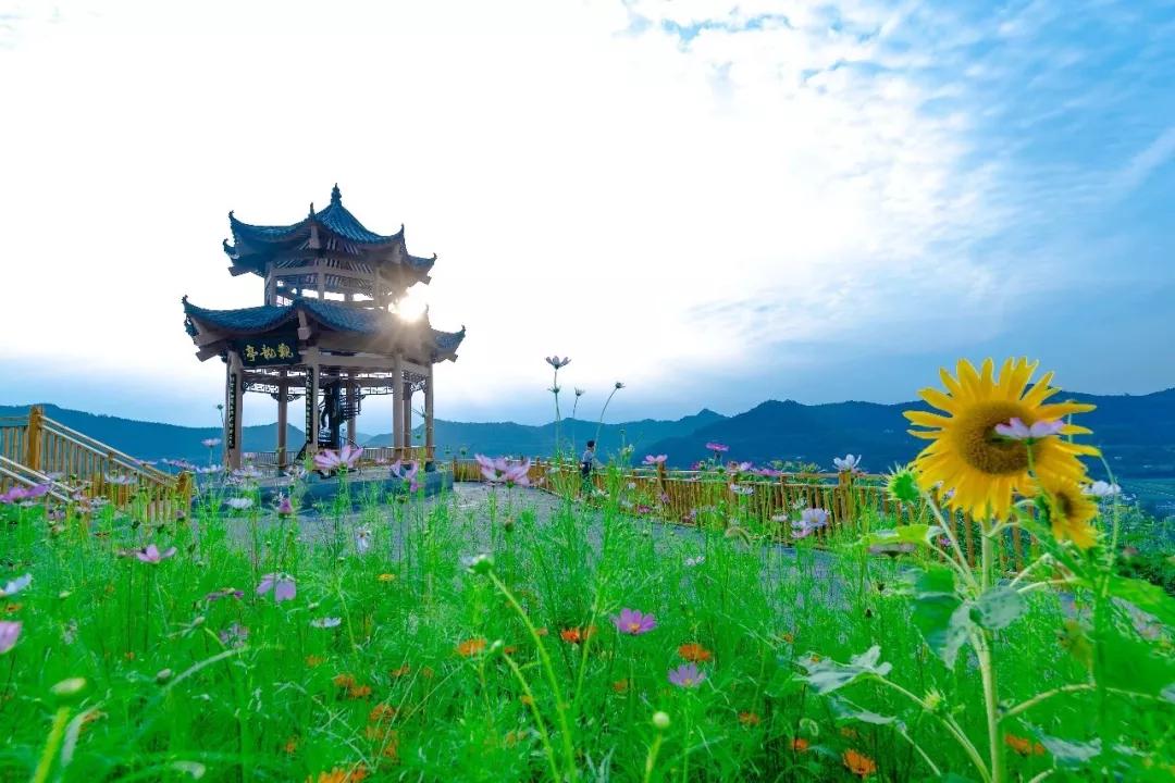 精品旅游线路乡村游亲子游,四川几大精品旅游线路