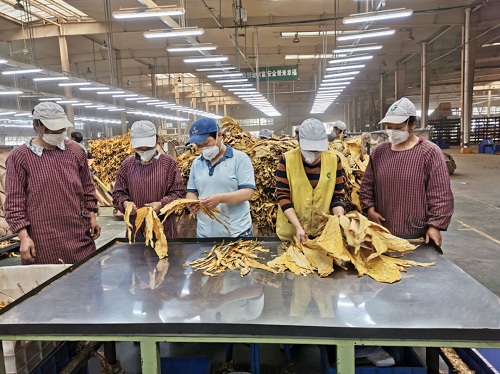 德昌复烤厂车间,德昌复烤厂工作