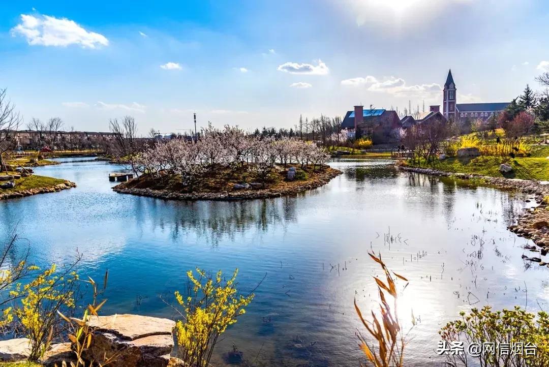 胶东地区春天的小鸟,胶东春天的雪