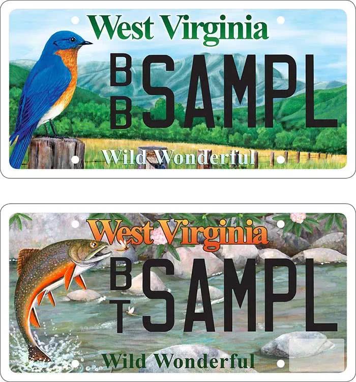 美国各省份的车牌,美国各大州车牌