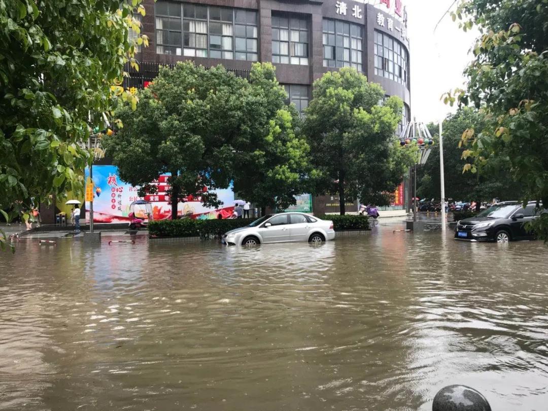 这六个月，仙桃过得怎么样？