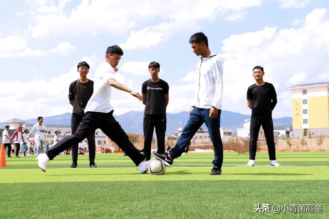 云南曲靖会泽县茚旺高中致远中学高一新生及补习班招生简章来啦