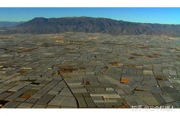 灞变笢鐨勮敩鑿滅粰鍝噷渚涚粰,灞变笢鐨勮敩鑿滈兘渚涘摢閲屼簡