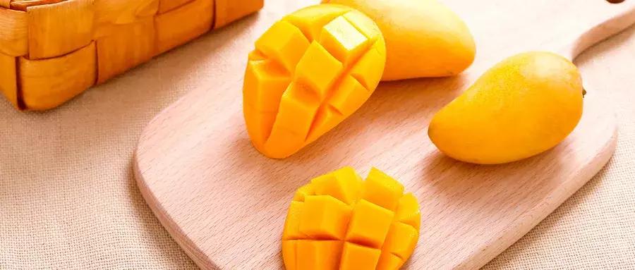 椰果补什么,椰果益处