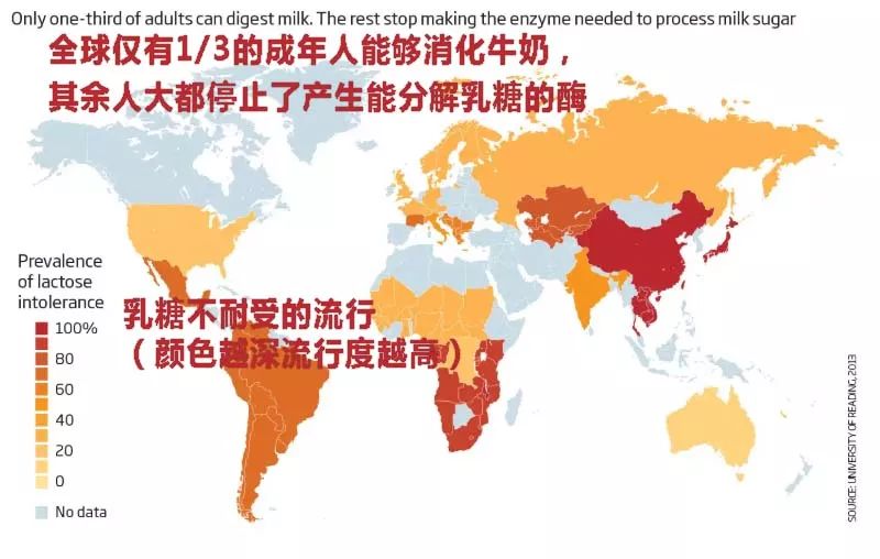 莫名拉肚子吃什么药,莫名其妙拉肚子又很容易上火