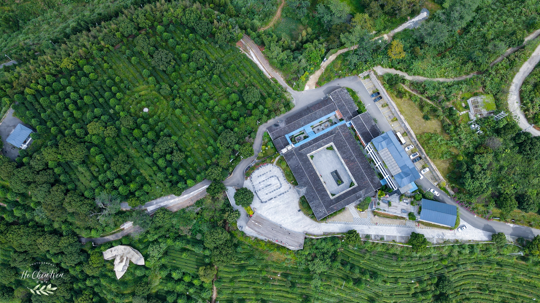 中国十大品牌铁观音茶叶,铁观音福建中国十大名茶