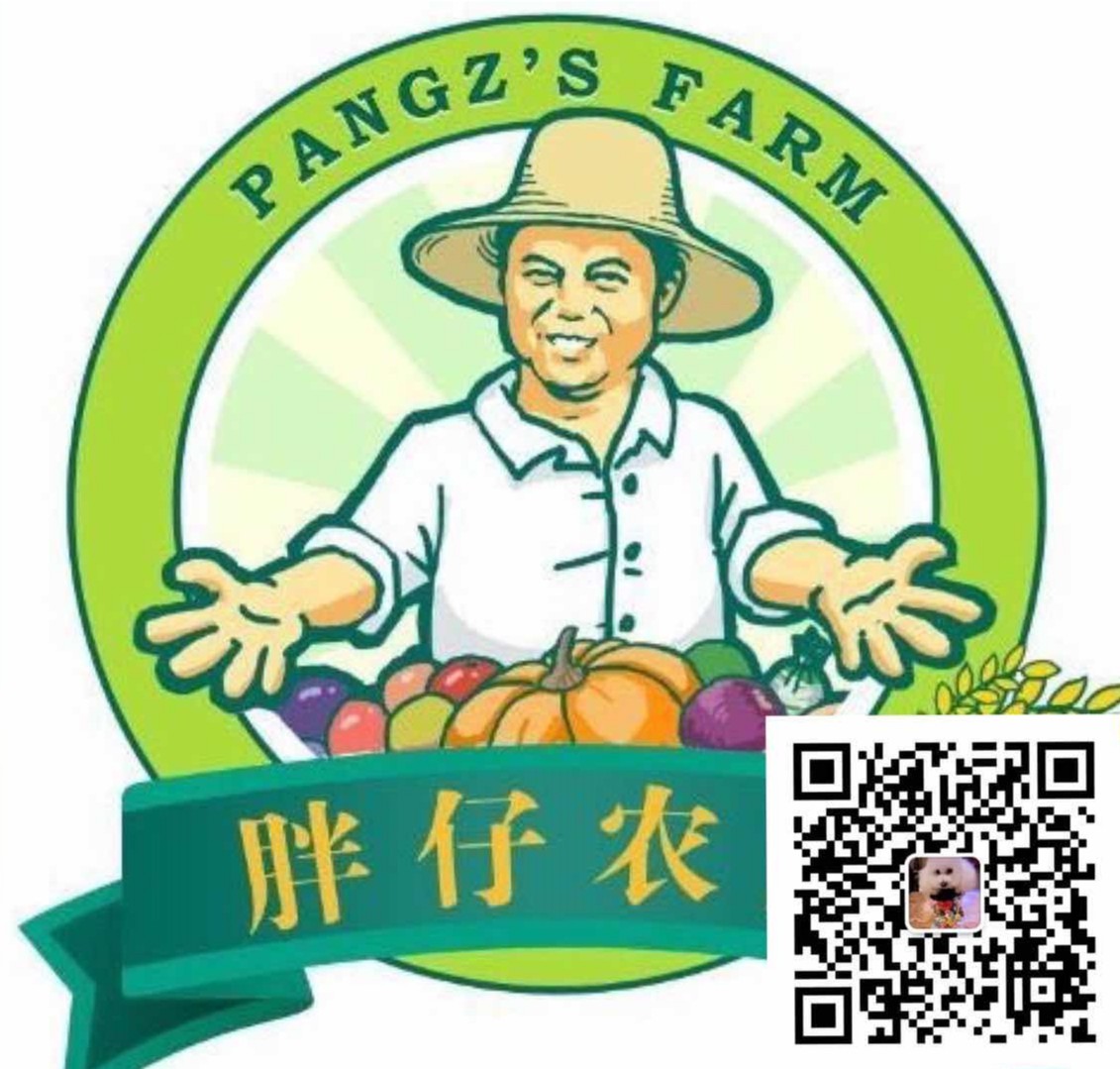 长沙周边旅游自由行攻略一日游,长沙周边景点一日游旅游团