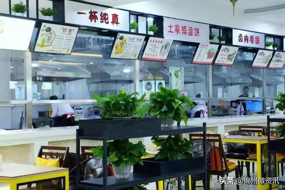 锦州渤海大学！全国最美大学之一！新入学的同学想知道的都在这里