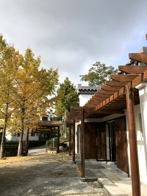 采菊东篱下悠然见南山拙政园,采菊东篱下悠然见南山芒种