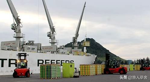 新西兰进口奇异果猕猴桃,猕猴桃新西兰进口