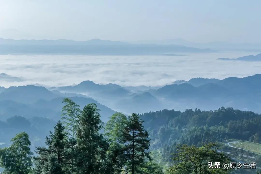 有一种生活方式叫快乐,有一种生活叫乡村