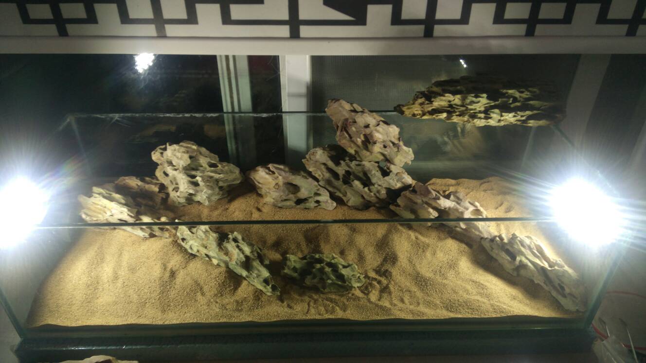 沼泽过滤鱼缸怎么开缸,沼泽缸开缸教程