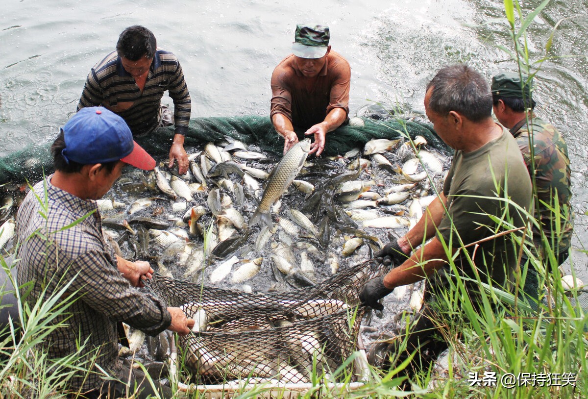 农村小作坊创业做什么生意好暴利,农村十大暴利小生意推荐