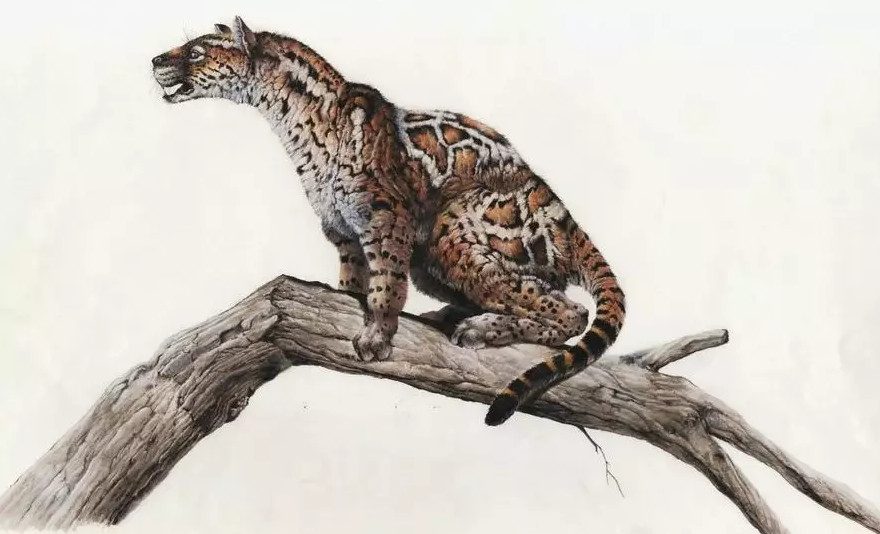 猛犸象和剑齿虎有人类吗,世界上真的有猛犸象和剑齿虎吗