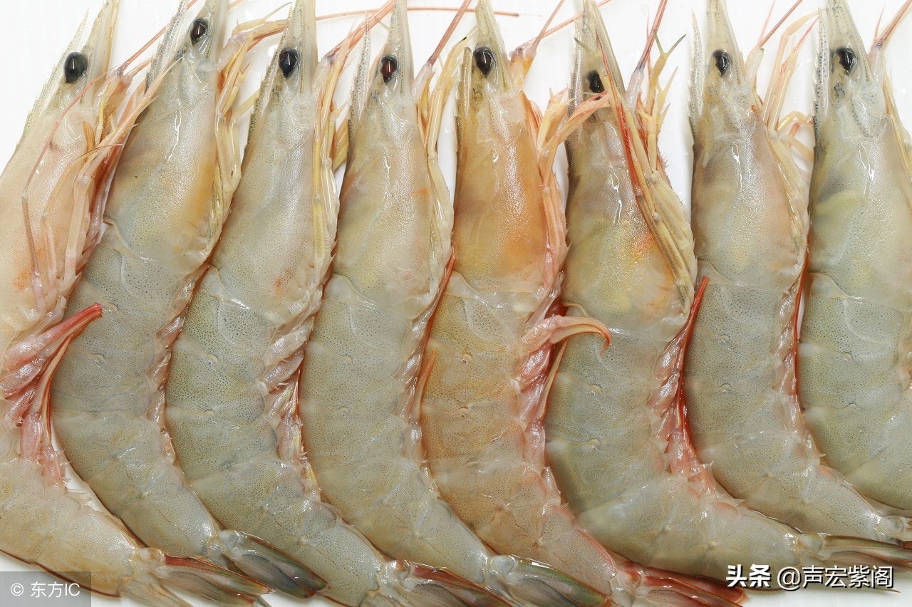 开边蒜蓉蝴蝶虾制作,过年蒜蓉虾做法