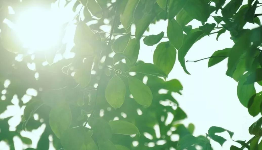 中暑要人命,以前中暑后会有什么后遗症