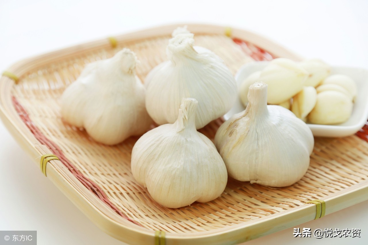 2019年大蒜价格走势图,大蒜价格2018年4月24日大蒜价格