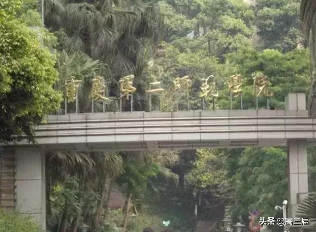 排行第二的大学,排名第二的大学都有什么