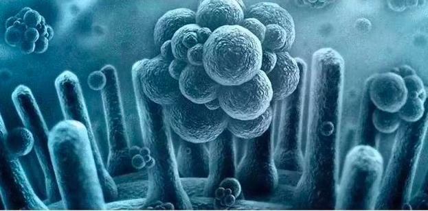 隔夜*裤内**，到底有多脏？年轻女孩80%的妇科病与*裤内**有关