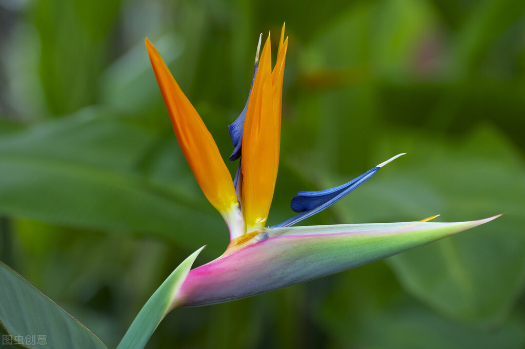 如何跟处女座妈妈搞好关系,怎样才能和处女座相处得更好