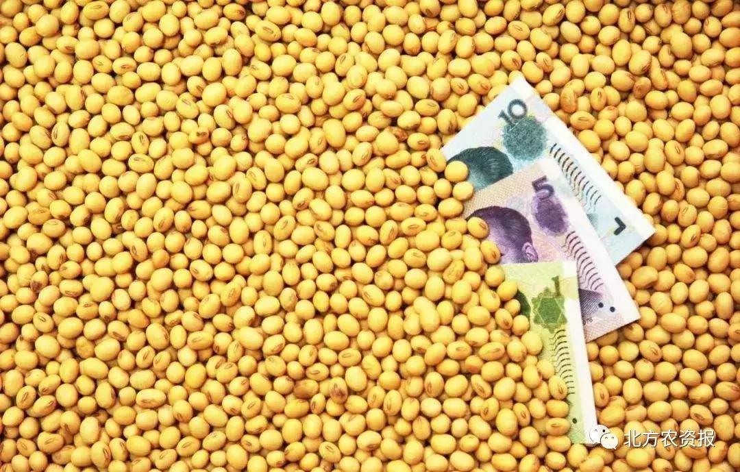 大豆价格预计6月下跌还是涨,大豆价格2023年是走高还是走低