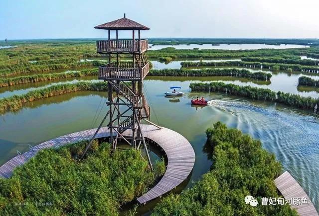 曹妃甸的新传说,渤海湾曹妃甸的魅力