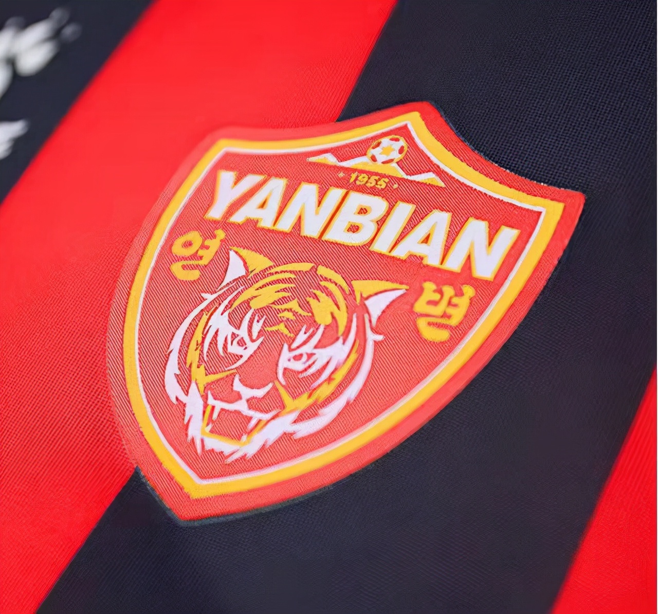 吉林东北虎历届后卫,吉林东北虎阵容