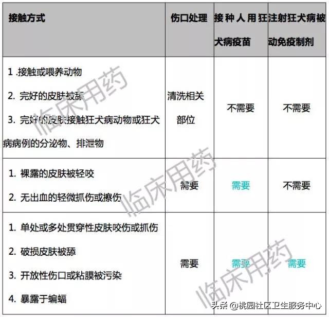 为啥鼠兔咬伤不用打狂犬疫苗,老鼠咬伤要不要打狂犬疫苗