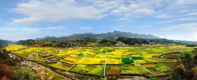 重庆市各区县2021三季度gdp增速,重庆各区县gdp排名2021全年人口