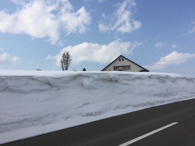 0语言，onepeople，日本北海道冬季往返8日自由行干货