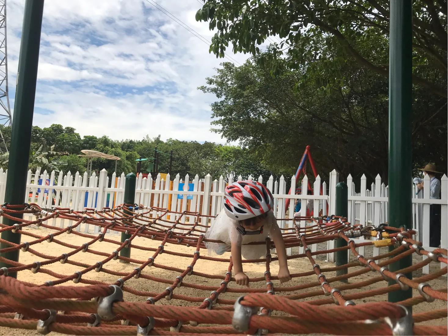 长隆飞鸟乐园拍鸟攻略,广州长隆飞鸟乐园可以摸哪些鸟