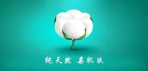 干电商赔钱都是怎么赔的,干电商亏钱很正常